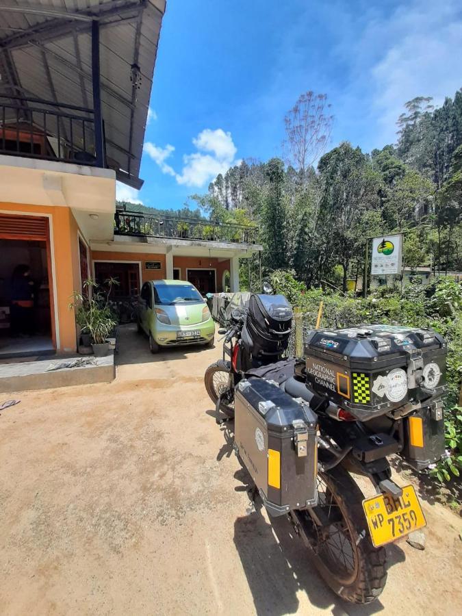 Pine Trees Homestay Nallathanniya Exterior photo