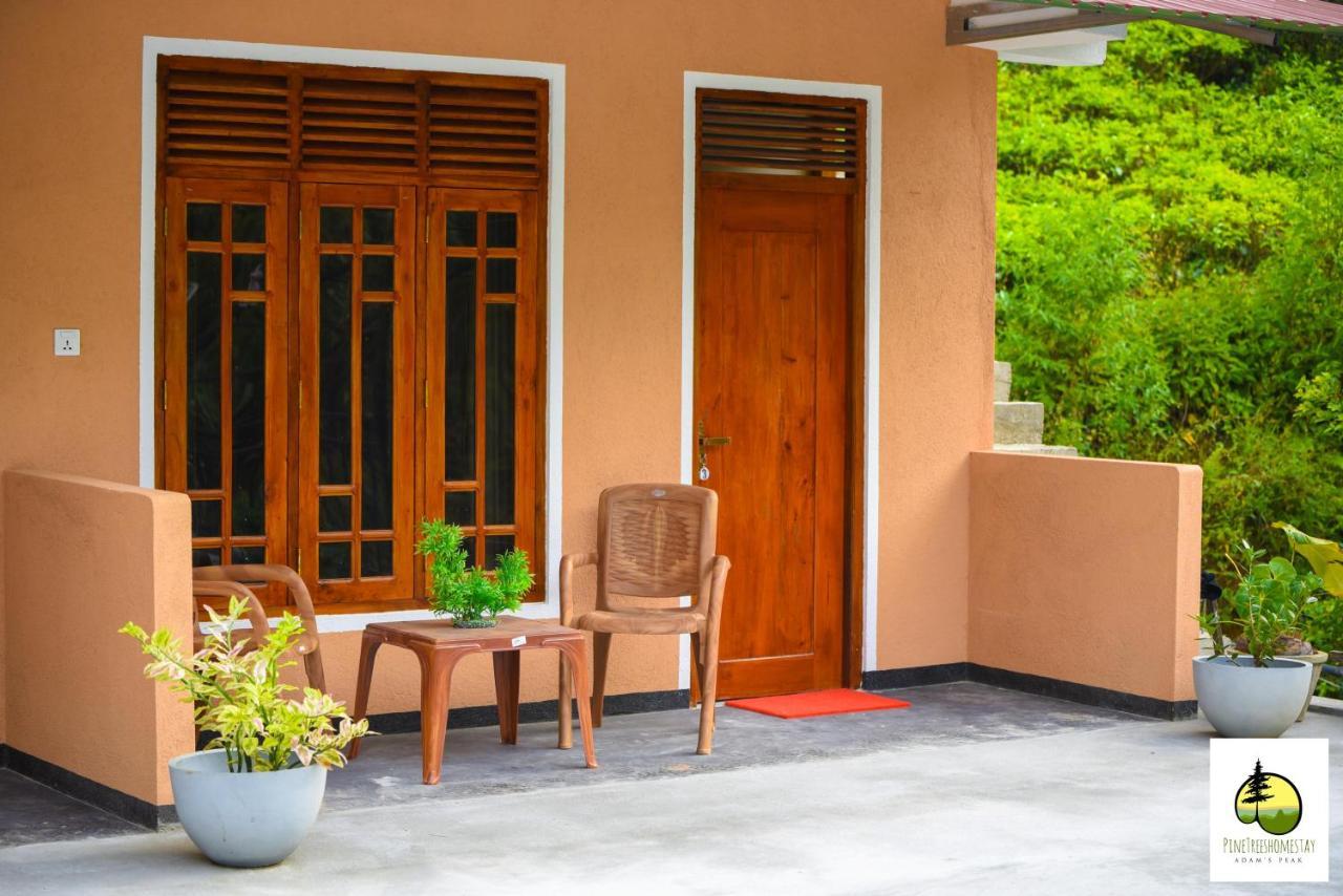 Pine Trees Homestay Nallathanniya Exterior photo