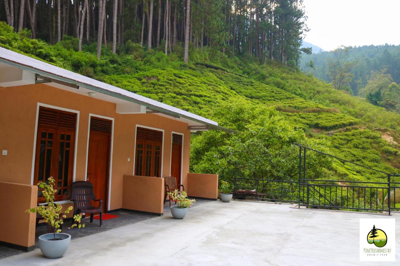 Pine Trees Homestay Nallathanniya Exterior photo