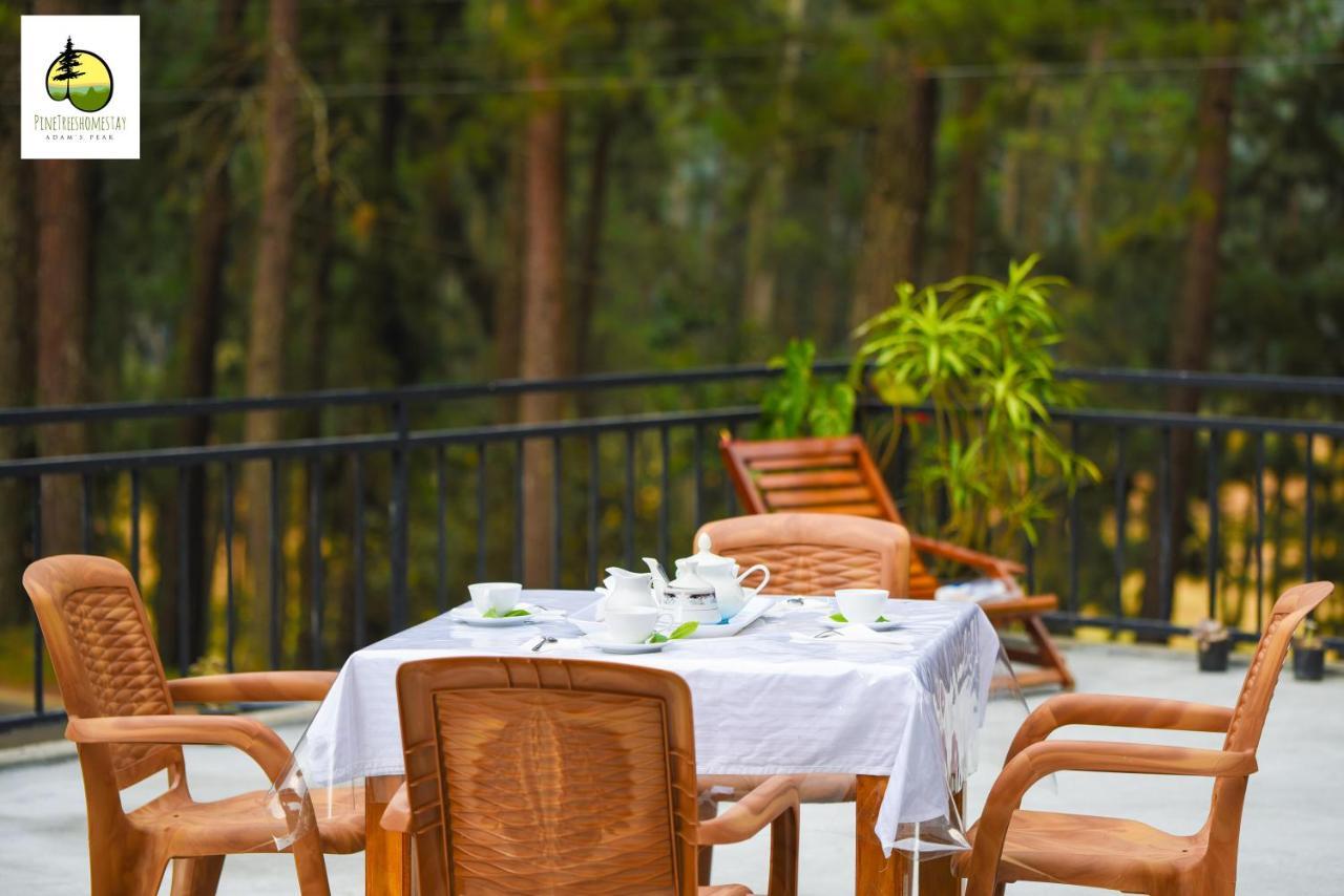 Pine Trees Homestay Nallathanniya Exterior photo