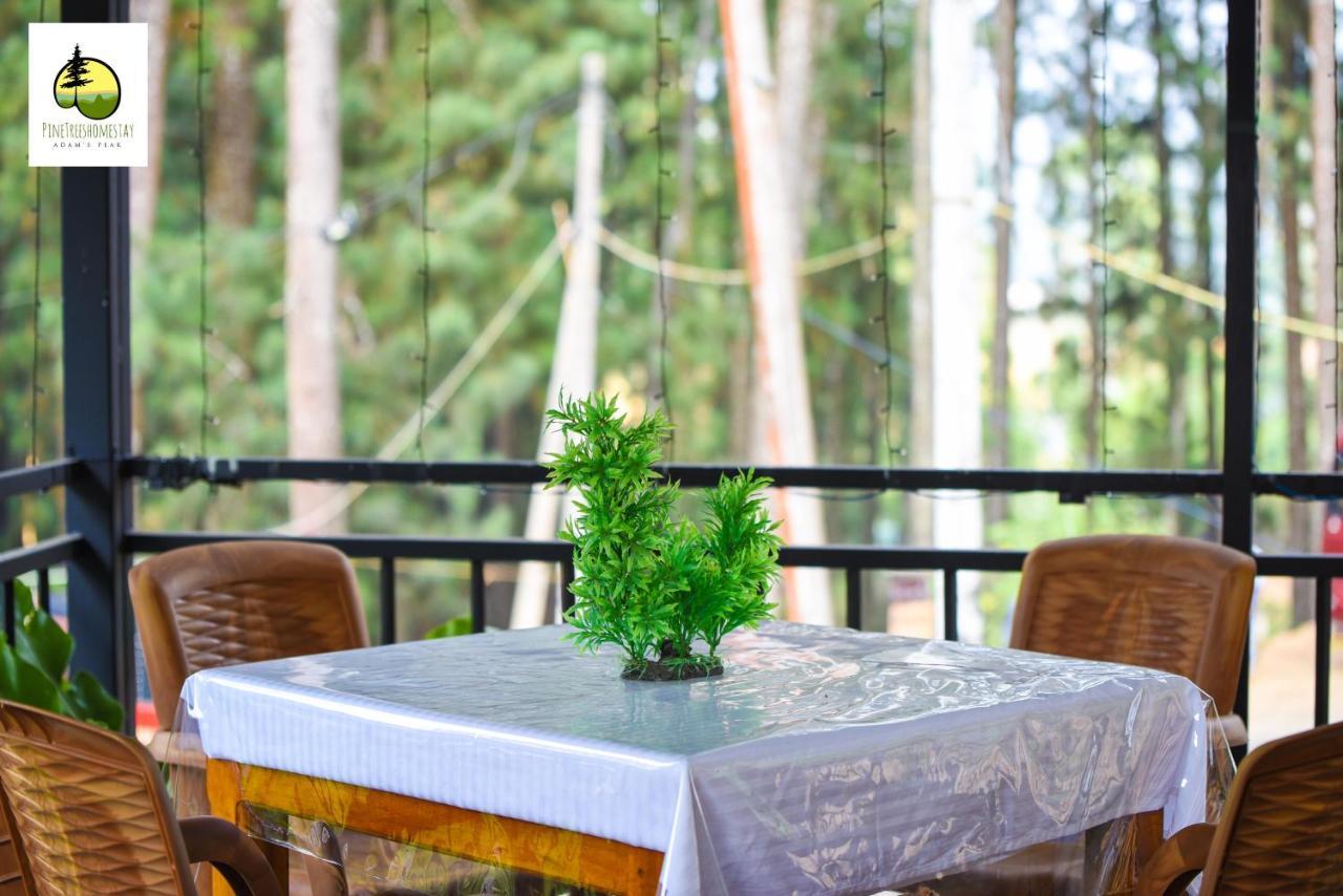 Pine Trees Homestay Nallathanniya Exterior photo