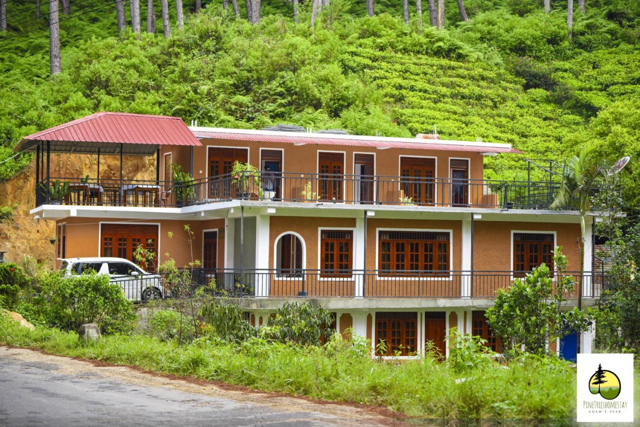 Pine Trees Homestay Nallathanniya Exterior photo
