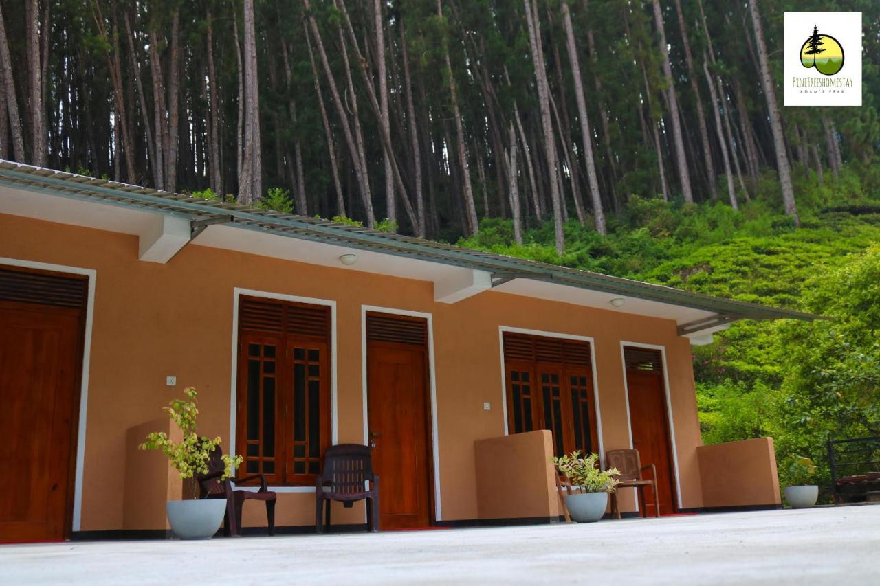 Pine Trees Homestay Nallathanniya Exterior photo